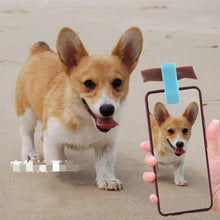 Load image into Gallery viewer, Pet Selfie Stick

