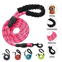 Load image into Gallery viewer, Nylon Night Reflective Leash
