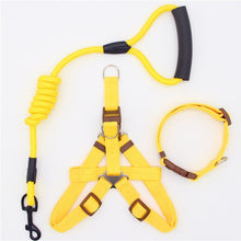 Load image into Gallery viewer, Nylon Leash, Collar and Harness Set
