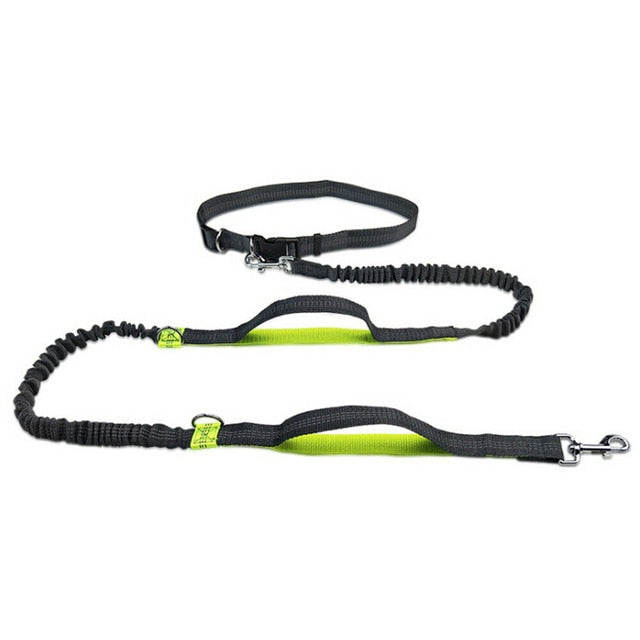 Reflective Leash With Elastic Hands Free Belt
