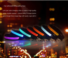 Load image into Gallery viewer, LED Luminous Charging Collar
