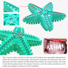 Load image into Gallery viewer, Toy With Voice, Molar and Teeth Cleaning
