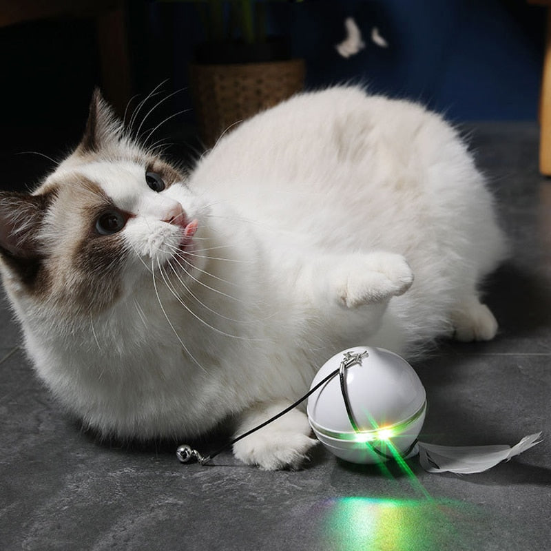 Smart Electric Interactive Ball