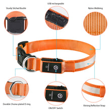 Load image into Gallery viewer, Luminous Dog Safety Glow Collar
