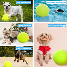 Load image into Gallery viewer, 9.5 Inch Dog Tennis Ball
