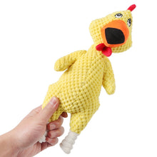 Load image into Gallery viewer, Chicken Shape Dog Toy
